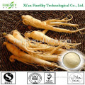 New product Chinese herbal medicine ginseng extract for sale